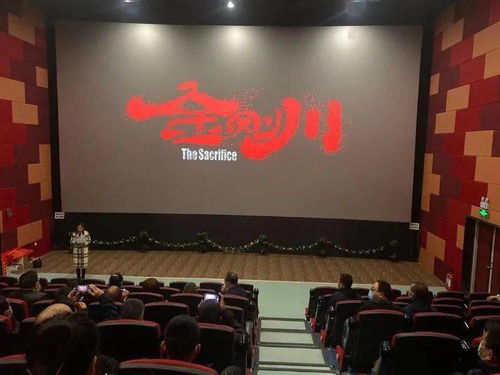 華陰市文旅局黨委 重溫崢嶸歲月筑牢使命擔(dān)當(dāng)，文化交融激發(fā)時(shí)代活力